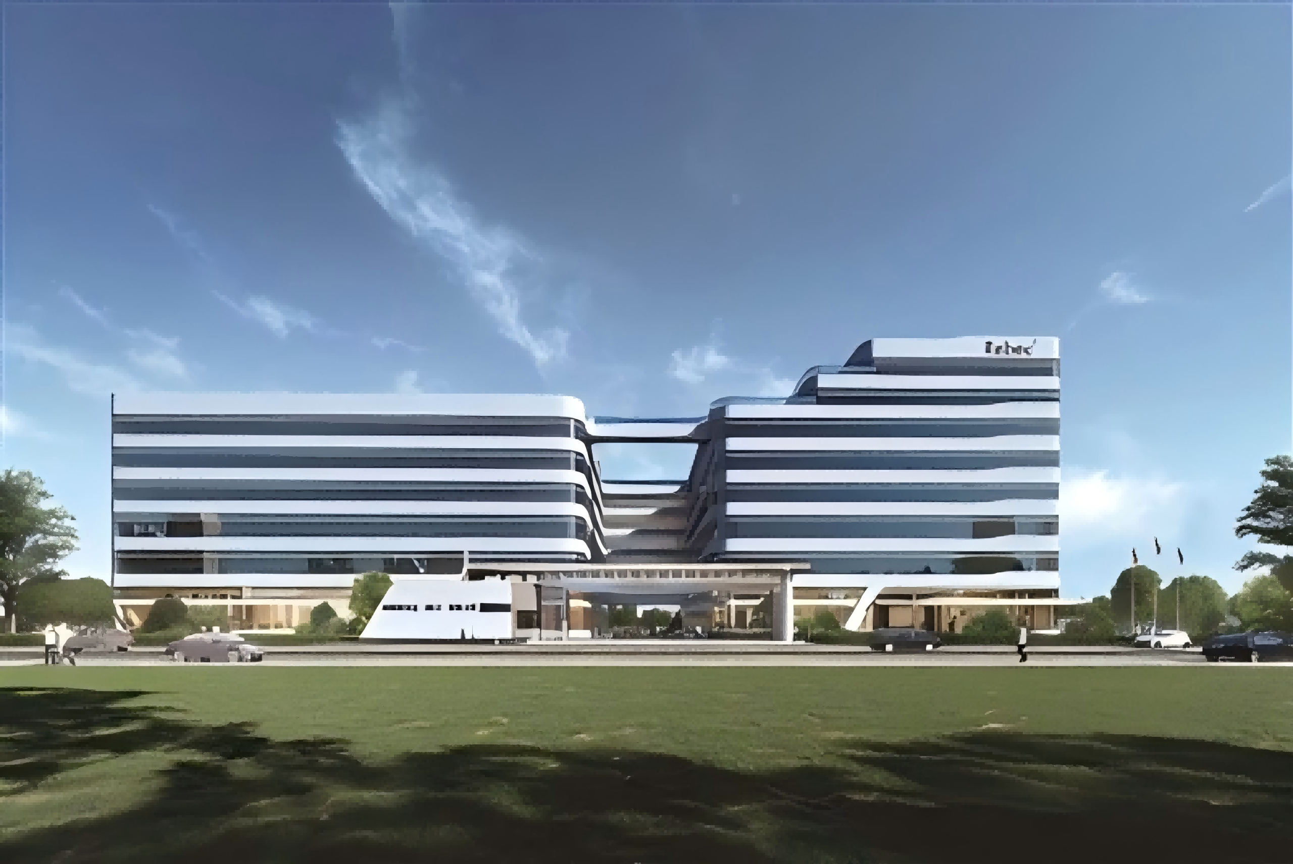 Advances In The Immune Response And Treatment Of Intervertebral Discs