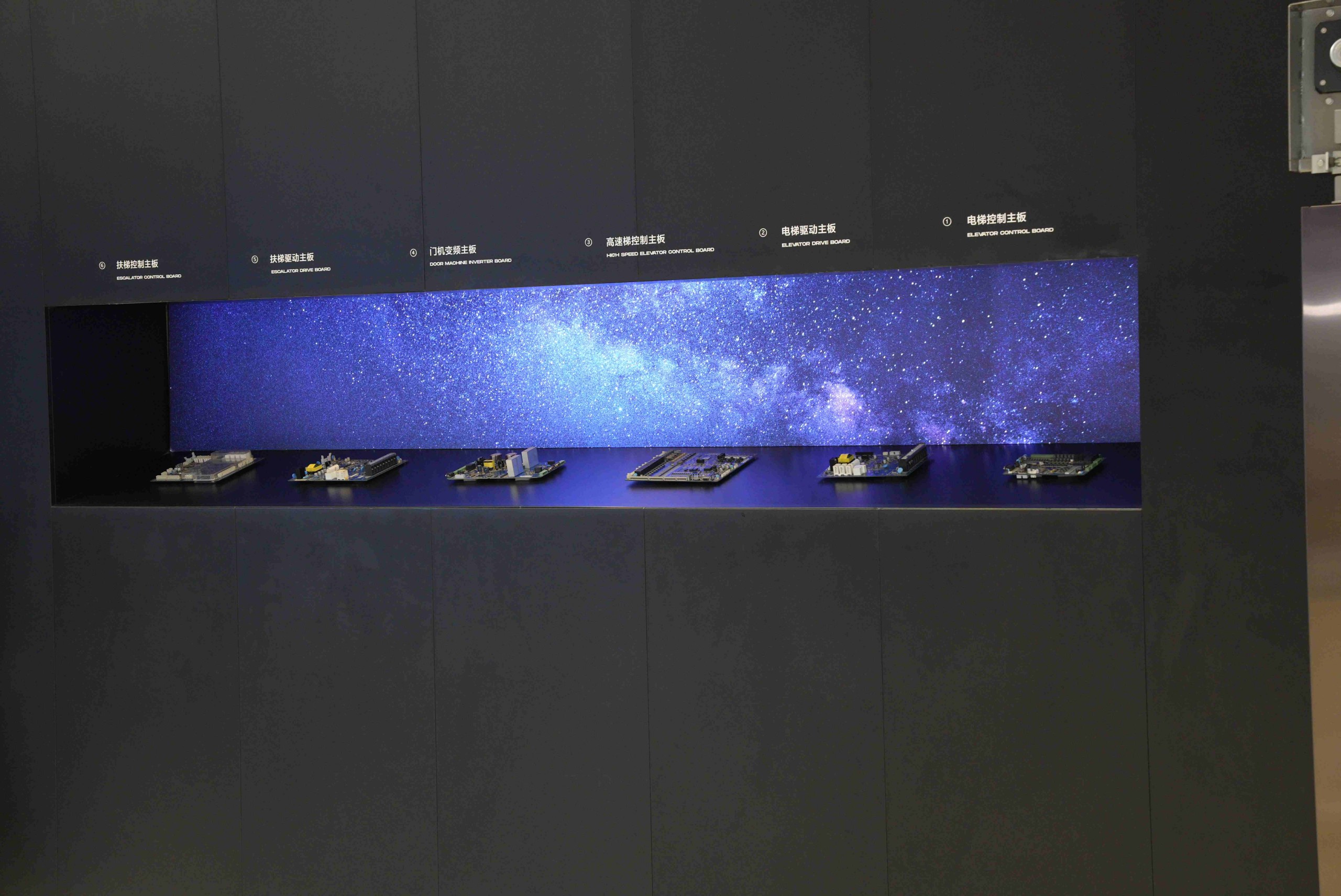 Advances In The Immune Response And Treatment Of Intervertebral Discs