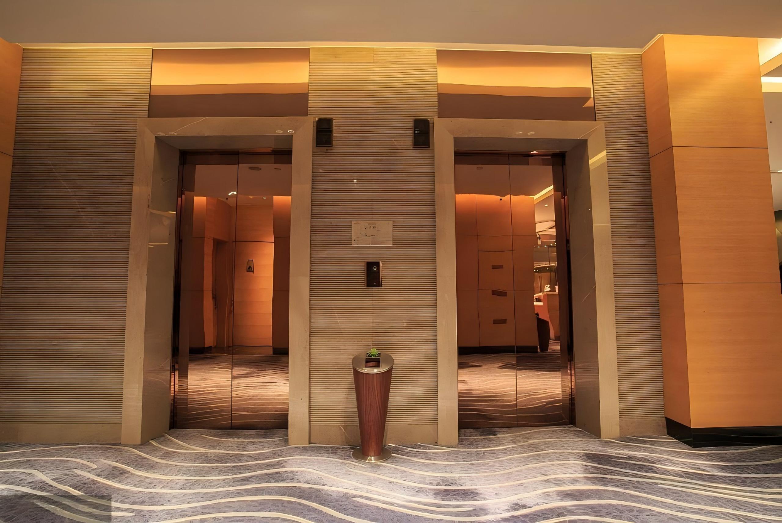 Advances In The Immune Response And Treatment Of Intervertebral Discs