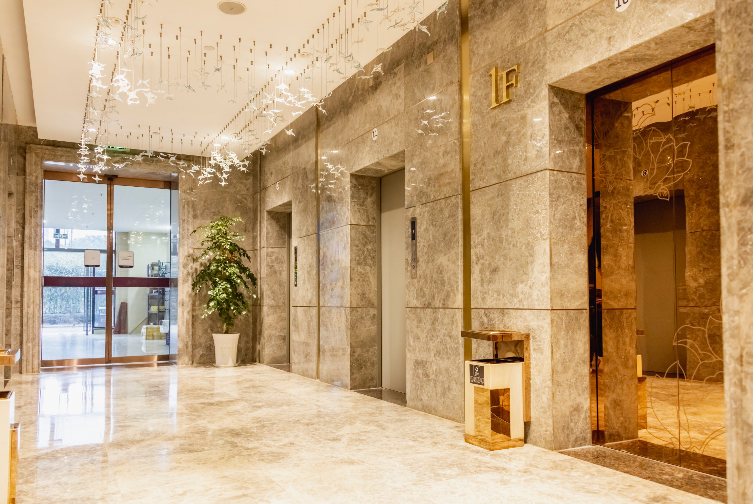 Advances In The Immune Response And Treatment Of Intervertebral Discs