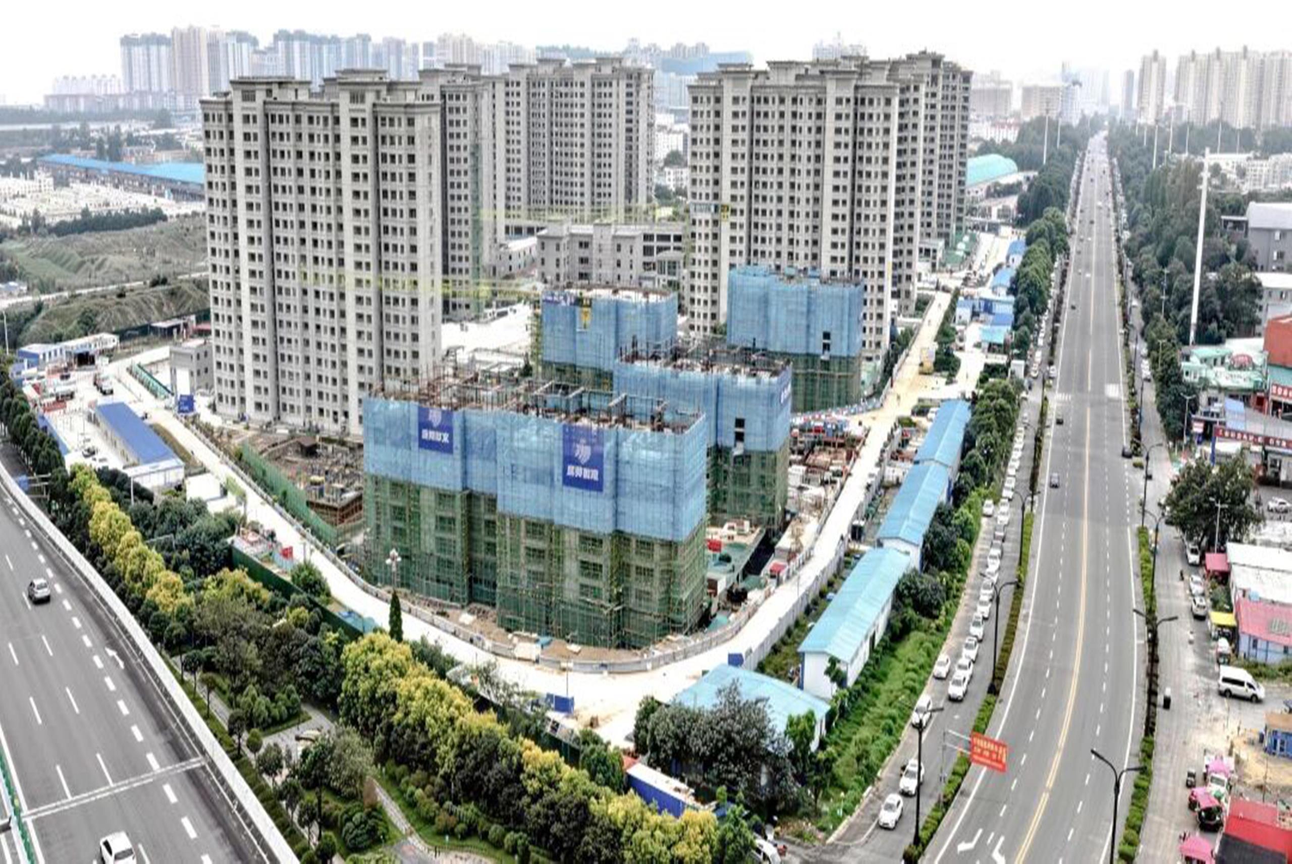 Advances In The Immune Response And Treatment Of Intervertebral Discs