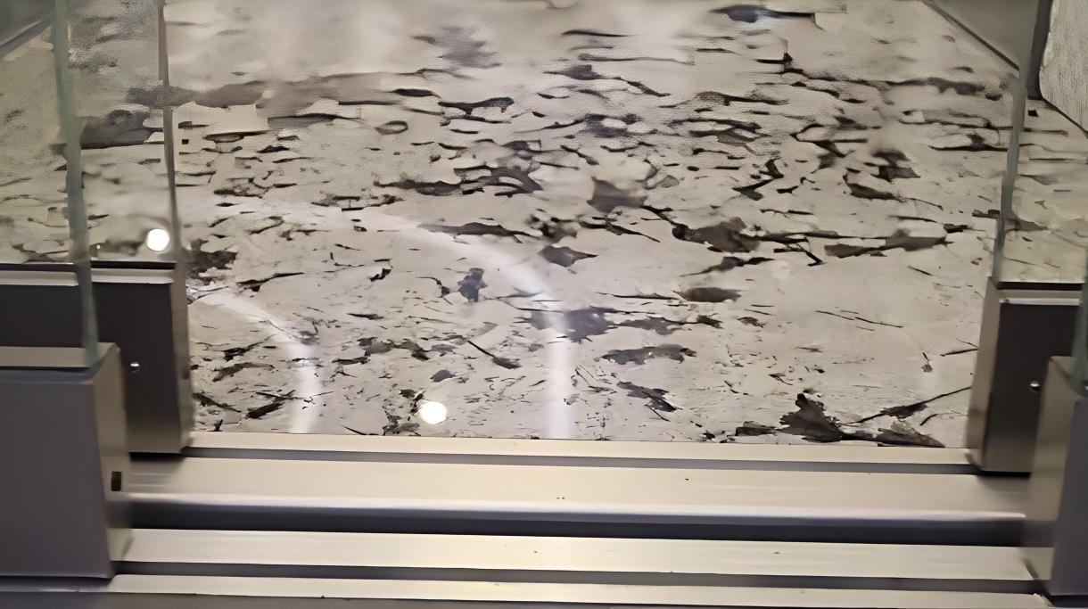 SURAPID Abosulte position.jpg